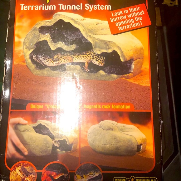 Lizard pet tunnel - Picture 1 of 1